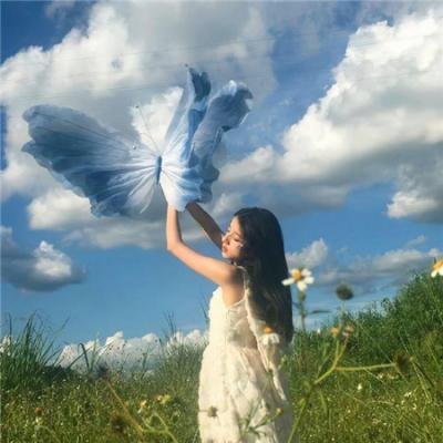 绝命毒师第五季